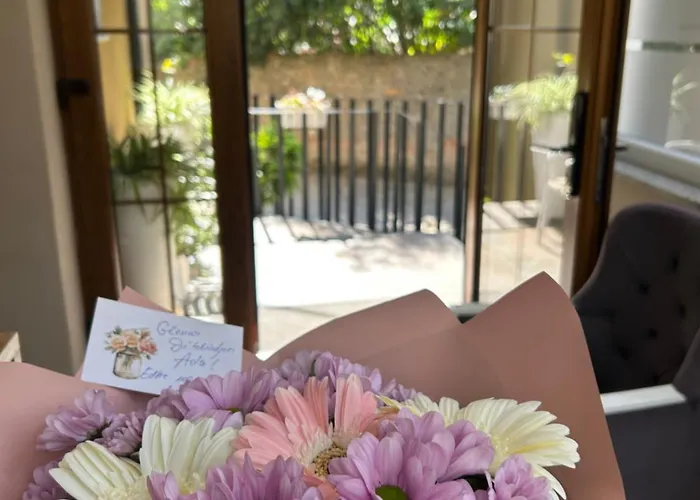 Panto 宾馆 地拉那